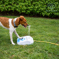 Outdoor Supplies Dog Water Feeder Intellectual Toys